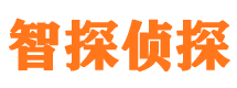 新绛市私家侦探